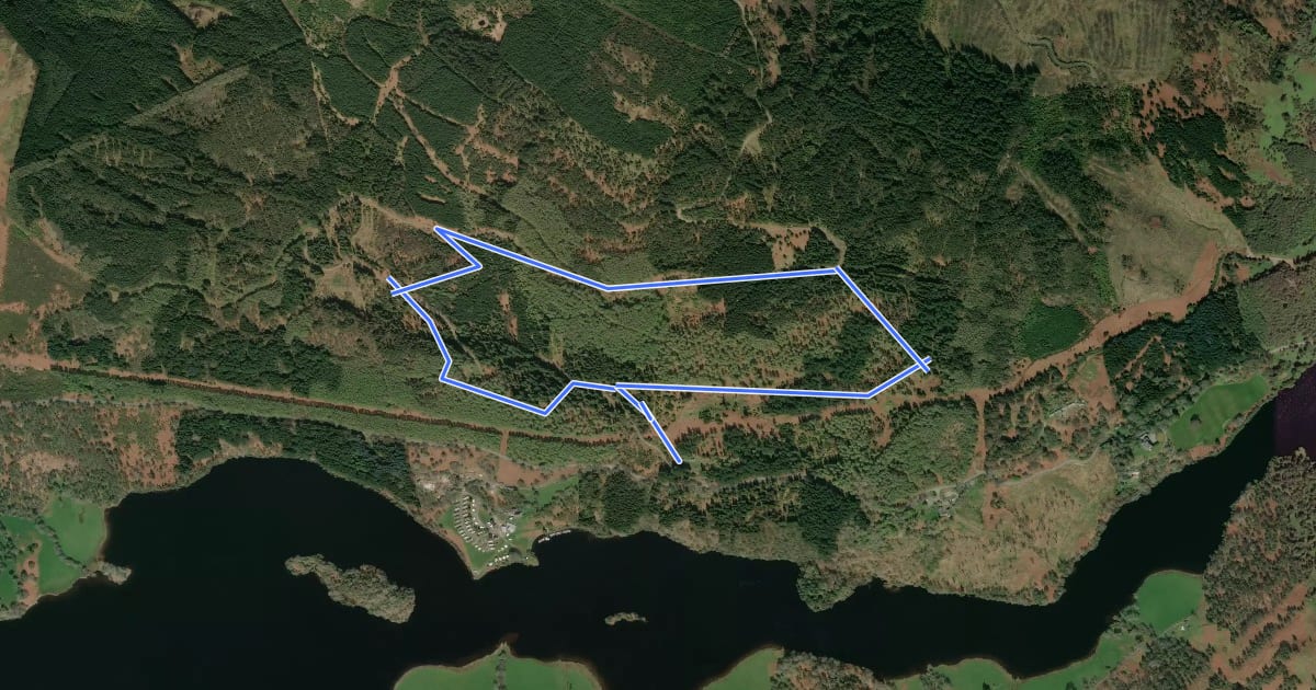 Маршрут Ring Fort Trail на спутниковом снимке