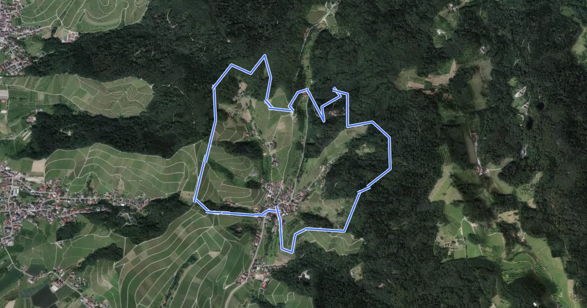 Маршрут Ringelbacher Keschdeweg на спутниковом снимке