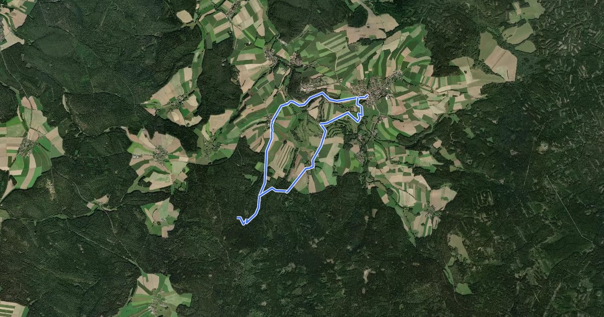 Маршрут Ringelfelsen-Weg на спутниковом снимке