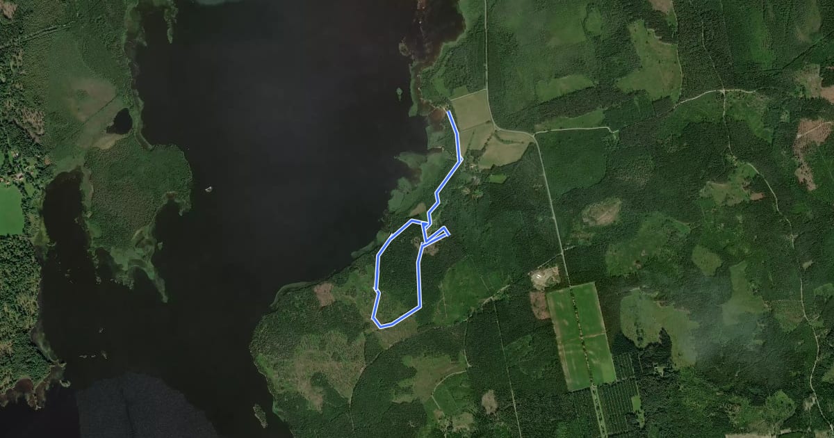 Маршрут Ringsberg 3 km blå на спутниковом снимке