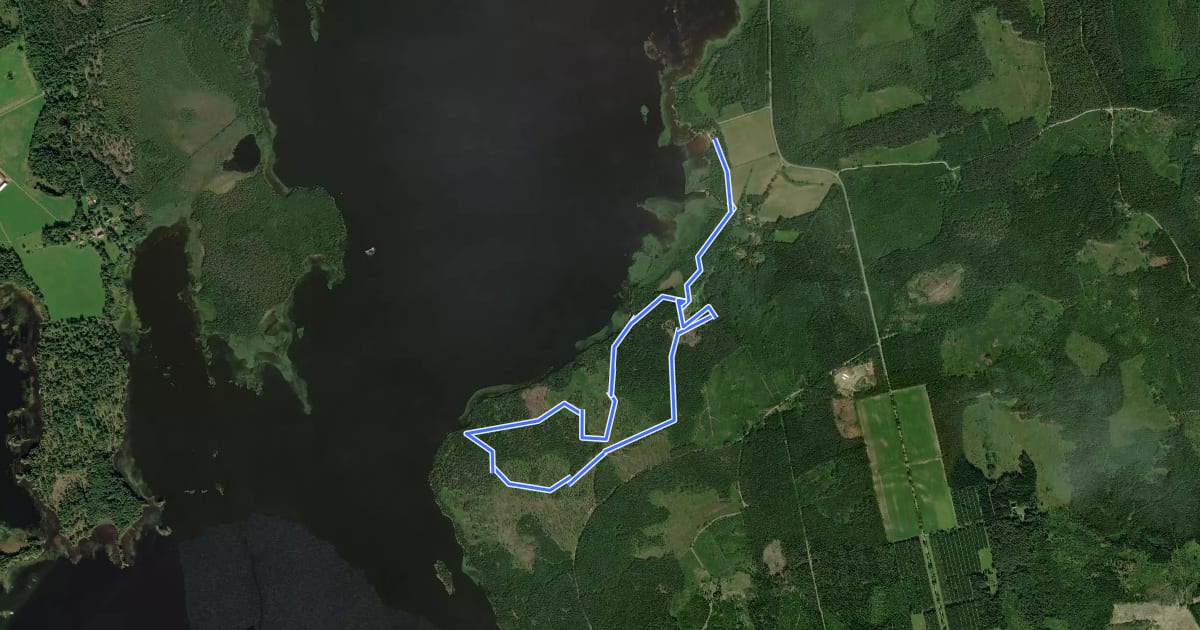 Маршрут Ringsberg 5 km blå на спутниковом снимке