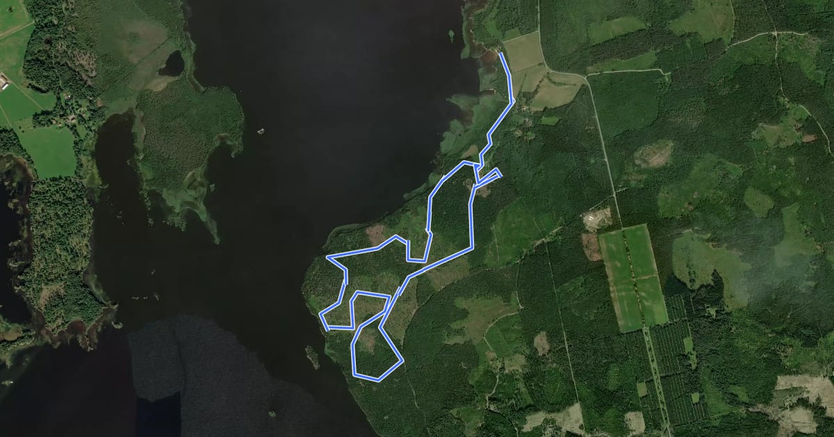 Маршрут Ringsberg 7 km röd на спутниковом снимке