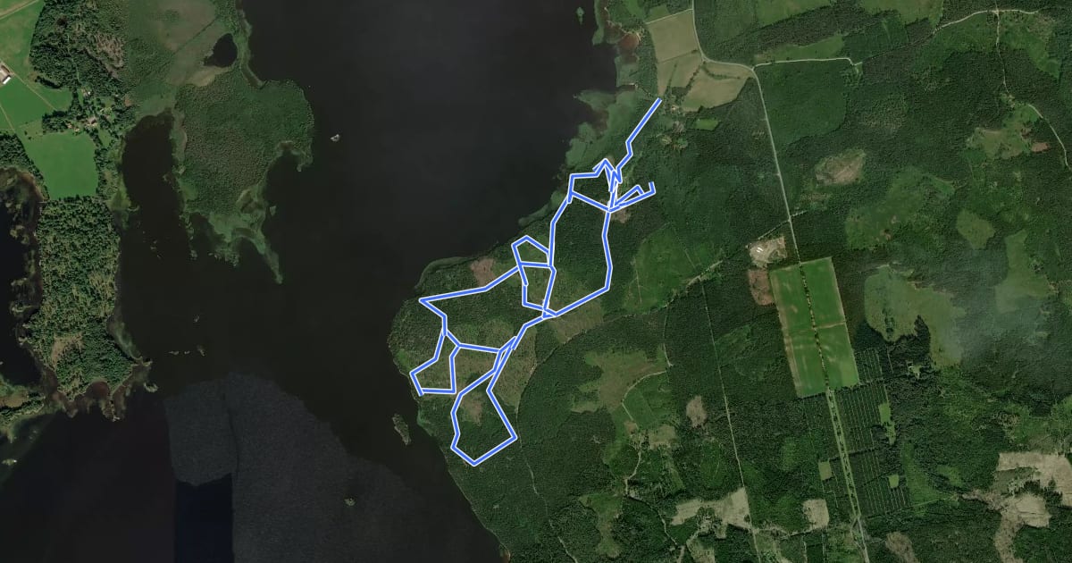 Маршрут Ringsberg Skidspår на спутниковом снимке