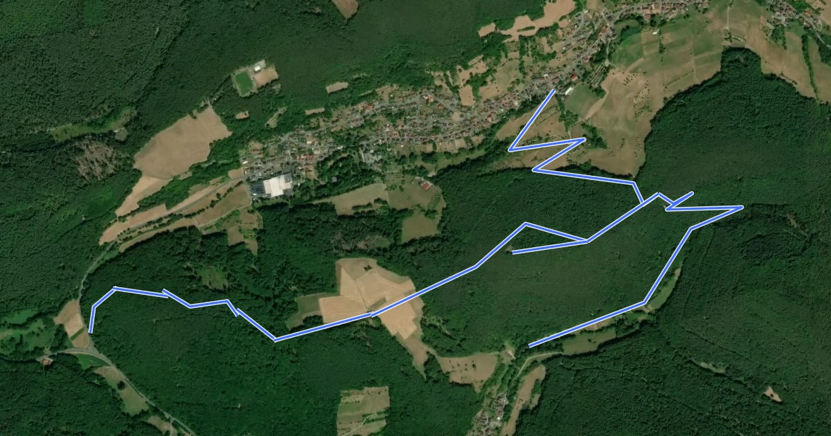 Маршрут Ringwall Altenburg на спутниковом снимке