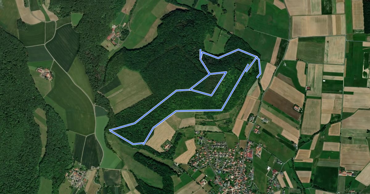 Маршрут Ringwall Rundwanderweg на спутниковом снимке