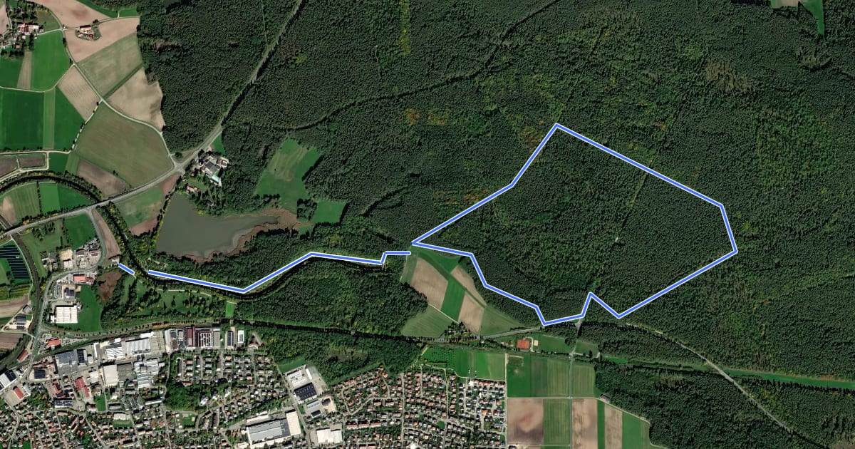 Маршрут Ringwallweg на спутниковом снимке