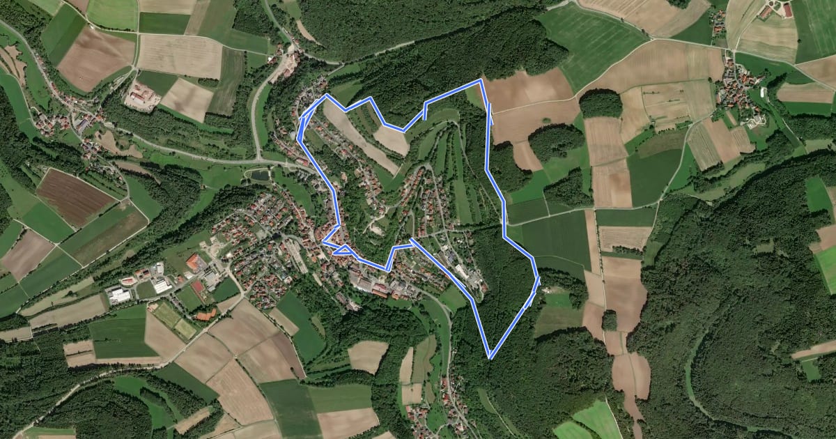 Маршрут Ringweg Judenfriedhof на спутниковом снимке