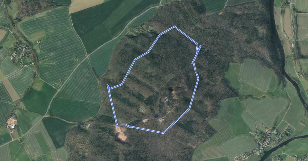 Маршрут Ringweg Rochlitzer Berg на спутниковом снимке