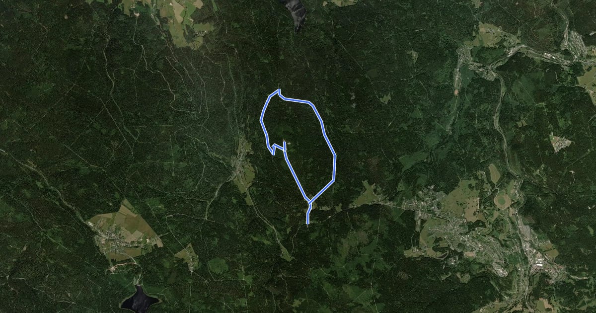 Маршрут Ringweg zum Auersberg на спутниковом снимке