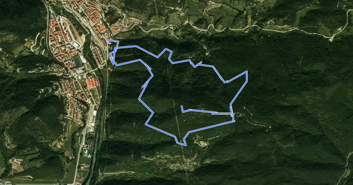 Маршрут Ripoll-Sant Antoni на спутниковом снимке