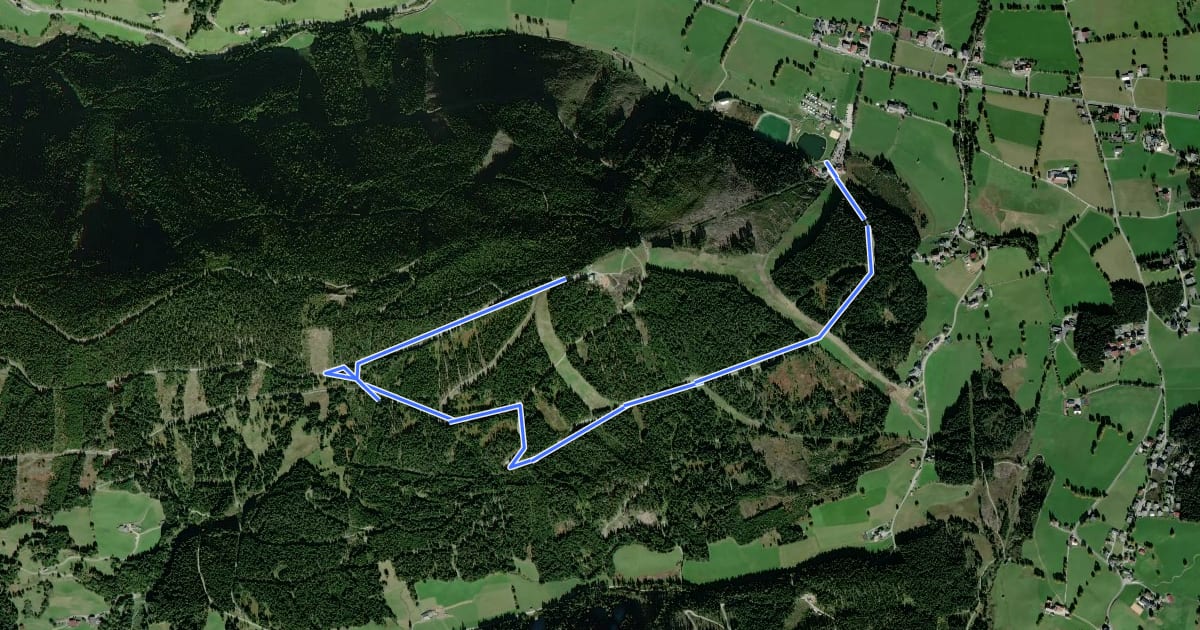 Маршрут Rittisbergweg на спутниковом снимке
