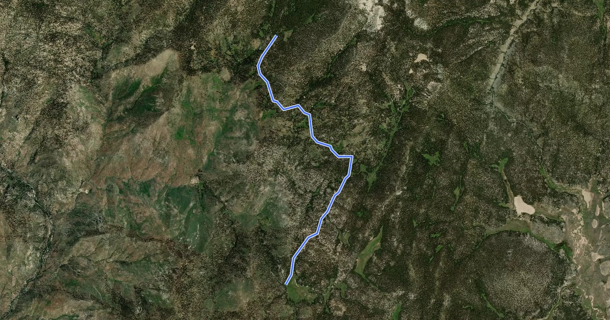 Маршрут River Springs Trail на спутниковом снимке