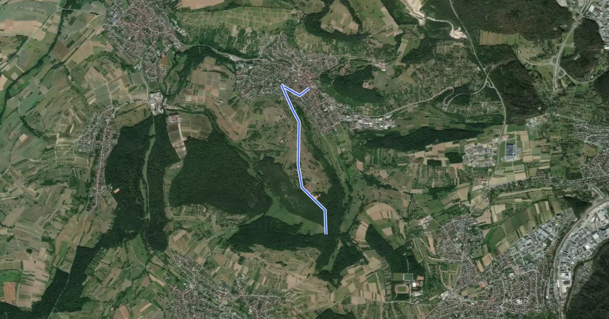Маршрут Rix - Dietlingen Spitzgarten на спутниковом снимке