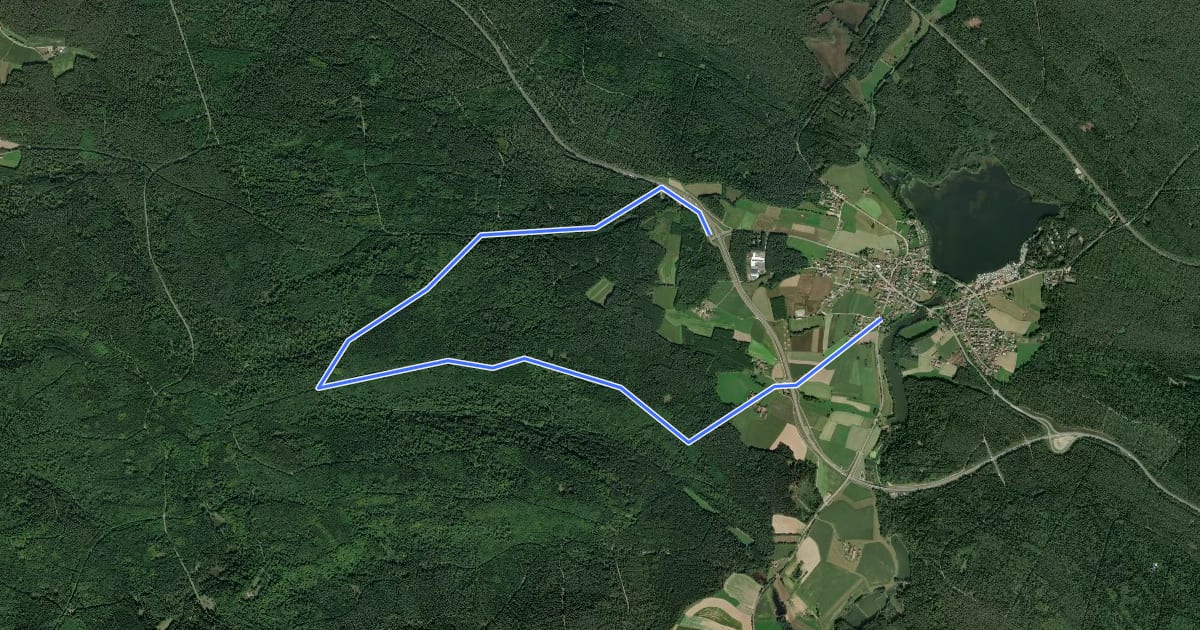 Маршрут Ro19, 39, Naturpark Vorderer Bayerischer Wald на спутниковом снимке