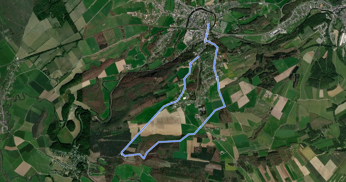 Маршрут RO19 Belvédère de Han-sur-Lesse на спутниковом снимке