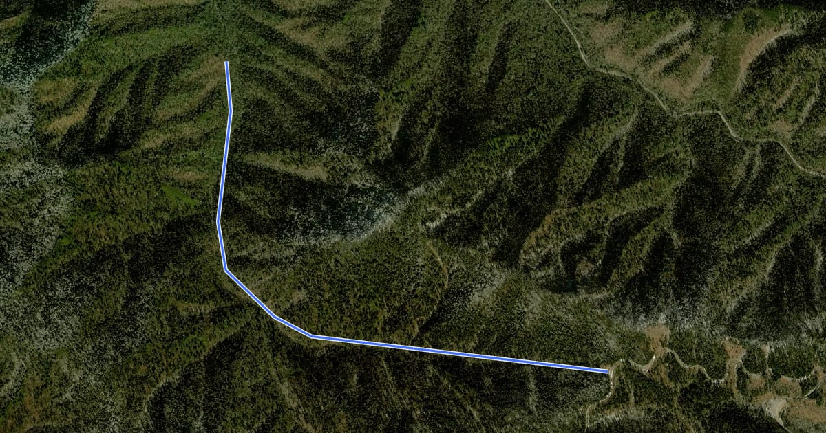 Маршрут Road Prong Trail на спутниковом снимке