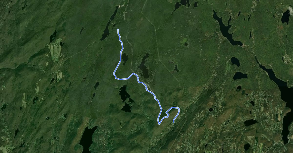 Маршрут Roaring Brook Trail на спутниковом снимке
