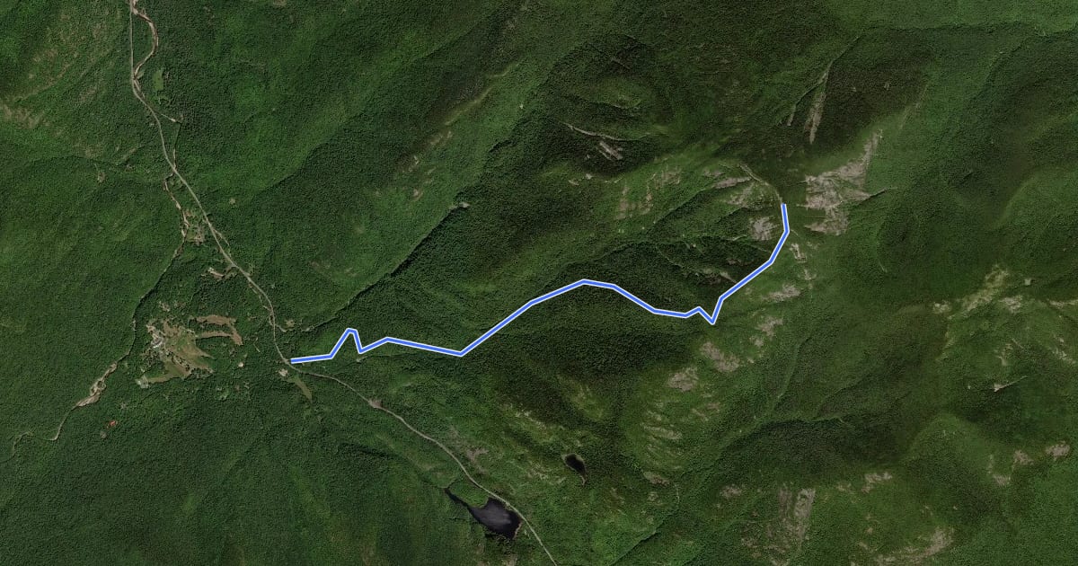 Маршрут Roaring Brook Trail на спутниковом снимке