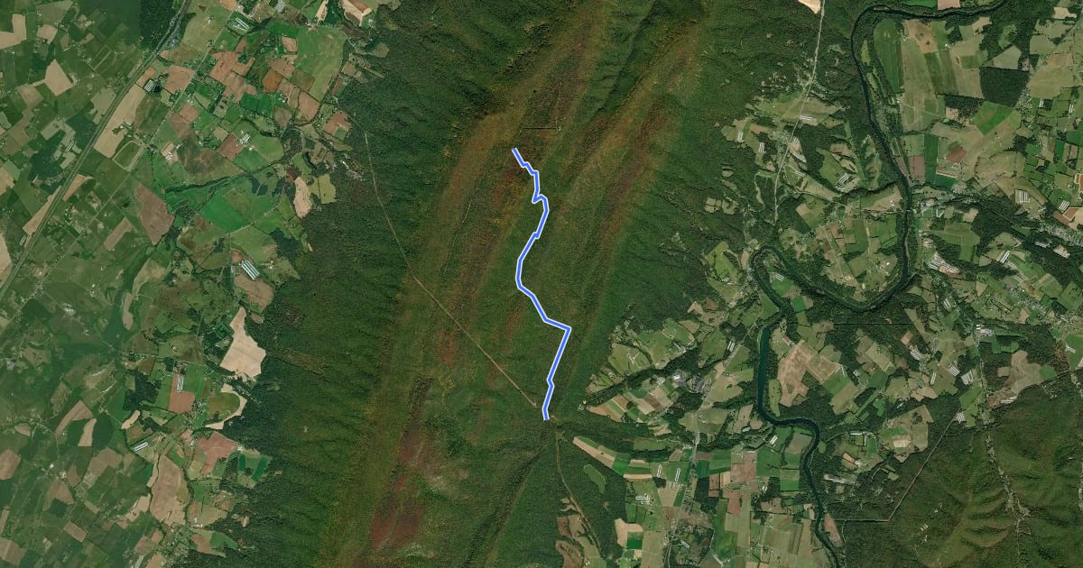 Маршрут Roaring Run Trail на спутниковом снимке