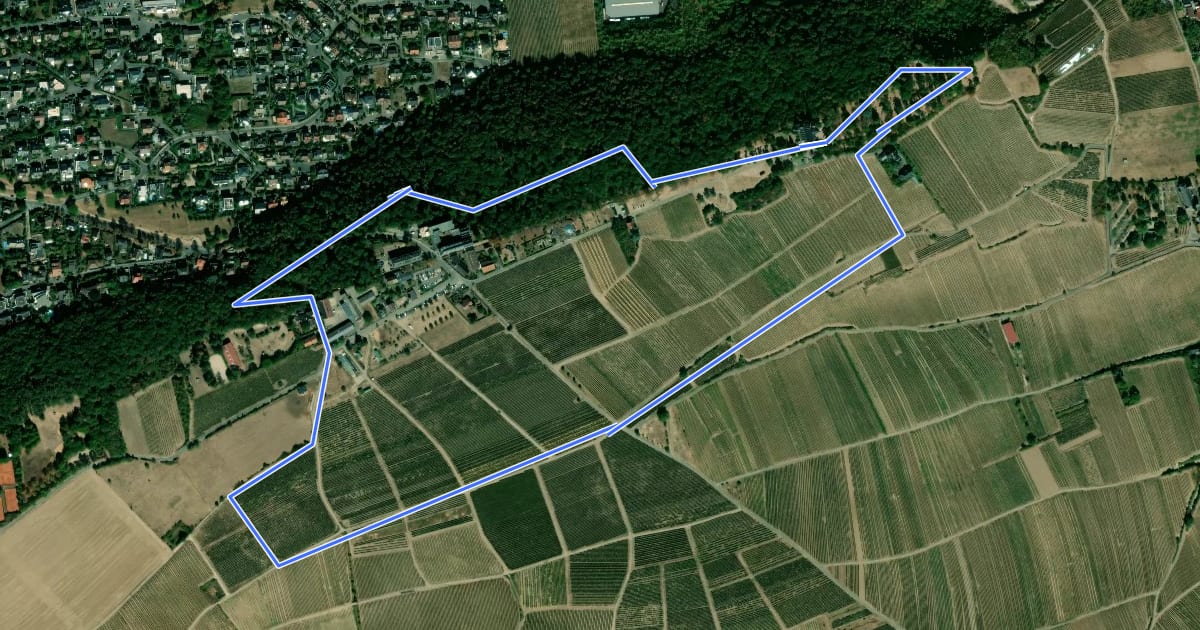 Маршрут Rochusberger Klosterrunde на спутниковом снимке