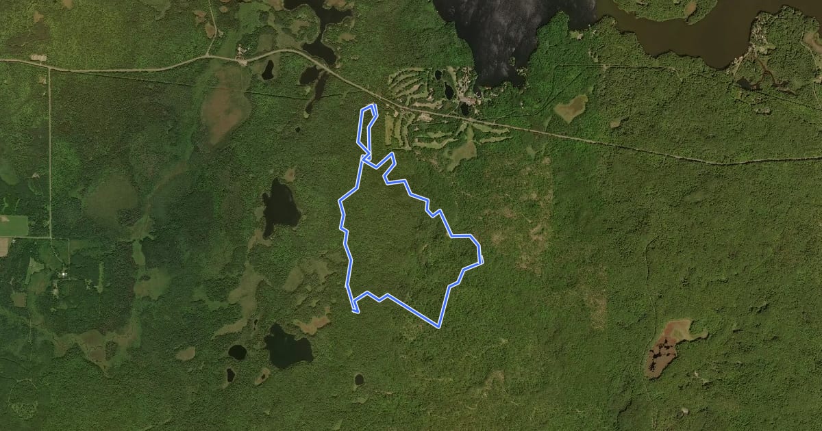 Маршрут Rock Lake 5-mile Cut-off на спутниковом снимке
