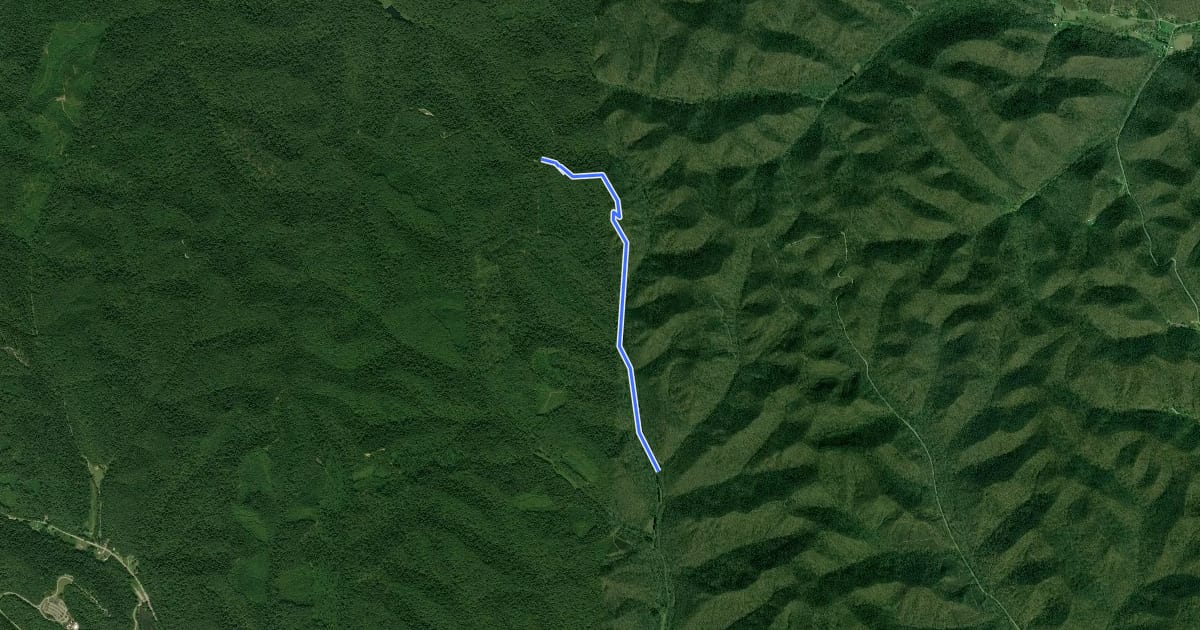 Маршрут Rock Lick Bridle Trail на спутниковом снимке