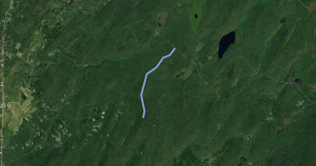 Маршрут Rock Oak Trail на спутниковом снимке