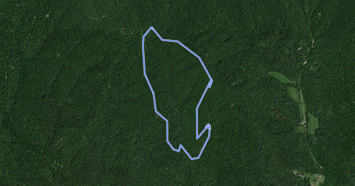 Маршрут Rock Shelter Trail на спутниковом снимке