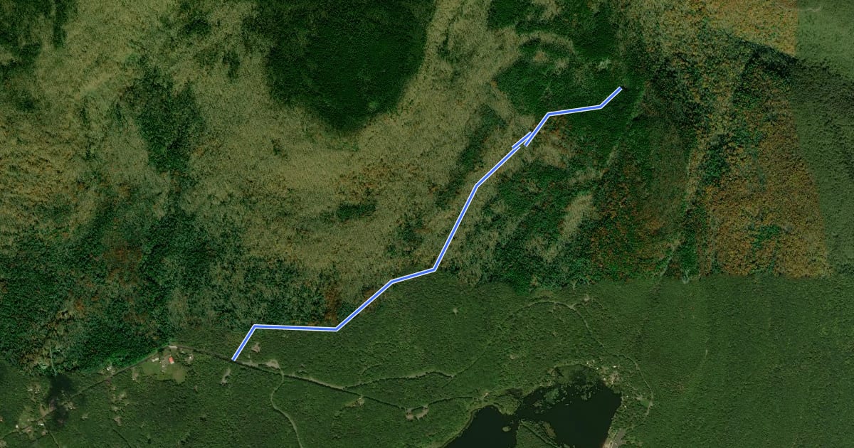 Маршрут Rock Shelter Trail на спутниковом снимке