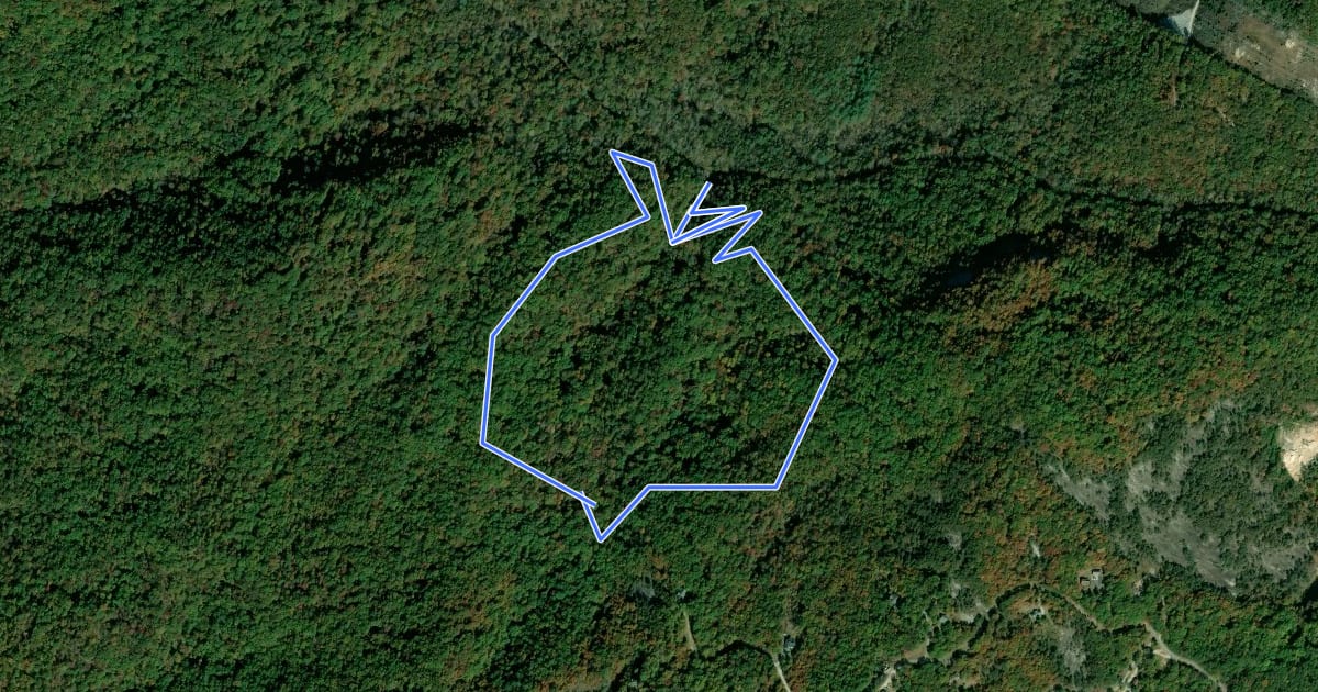 Маршрут Rocky Bald Loop Trail на спутниковом снимке