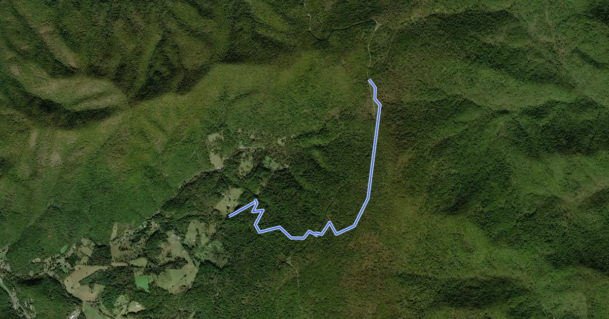 Маршрут Rocky Branch Trail на спутниковом снимке
