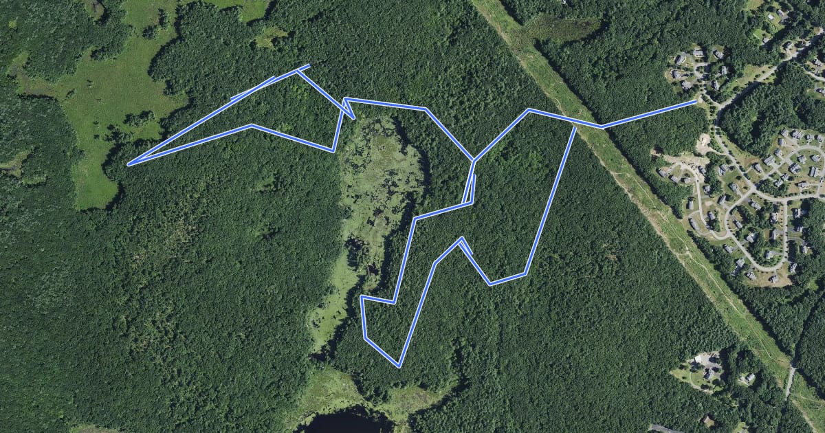 Маршрут Rocky Hill Scenic Walk на спутниковом снимке