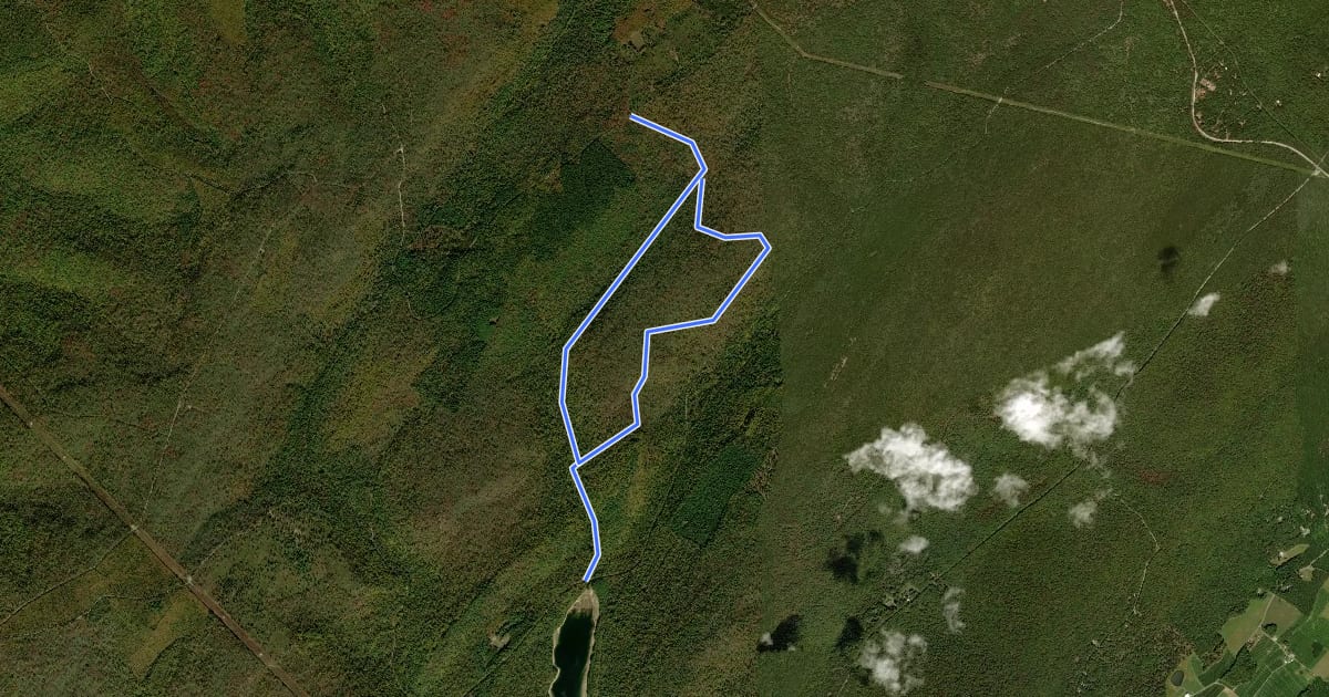 Маршрут Rocky Knob Trail на спутниковом снимке