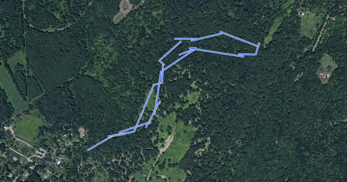 Маршрут Rocky Run Trail на спутниковом снимке