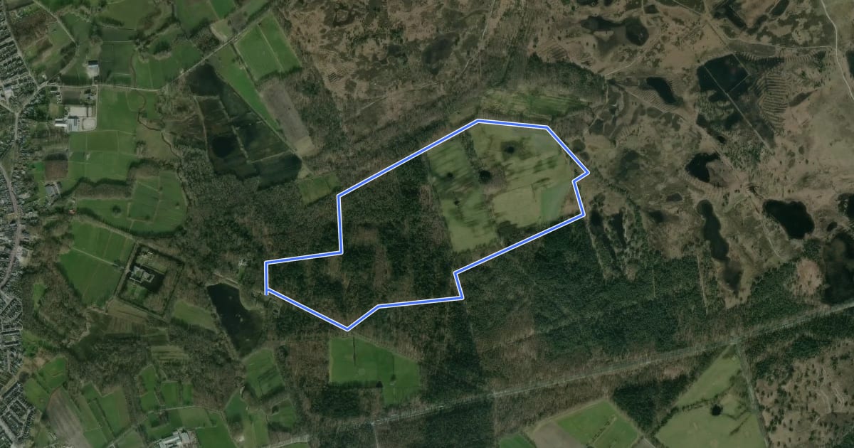 Маршрут Rode route на спутниковом снимке