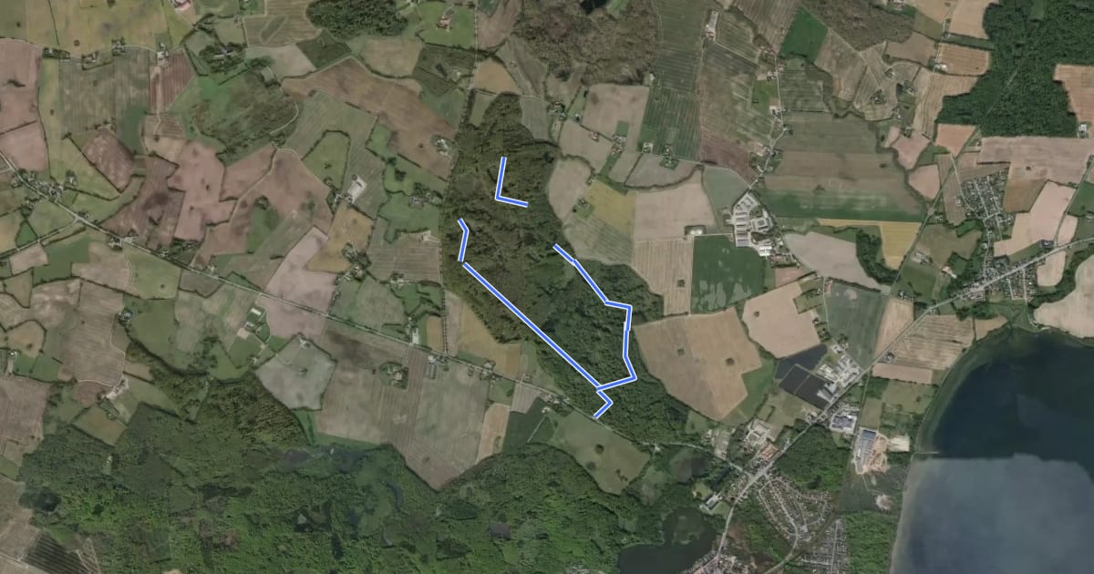 Маршрут Roden Skov, rød rute на спутниковом снимке