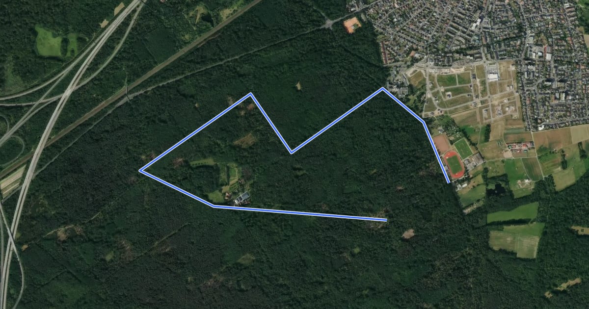Маршрут Rodenbach - Rundwanderweg Eichenblatt на спутниковом снимке