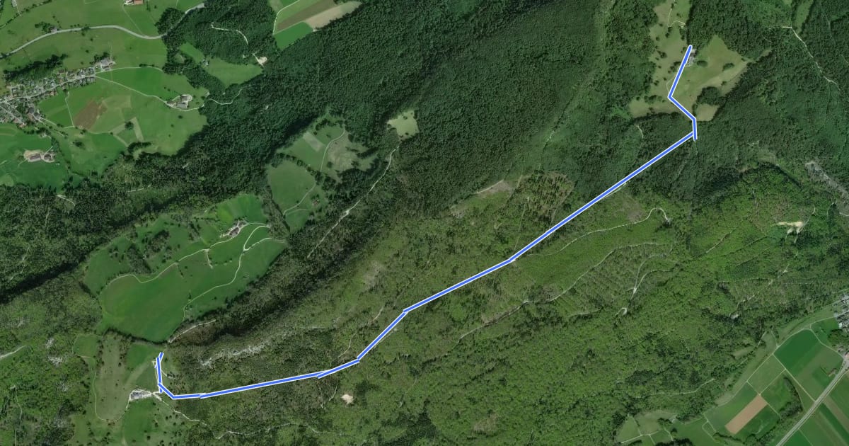 Маршрут Roggenweid -Buchsiter Alp на спутниковом снимке