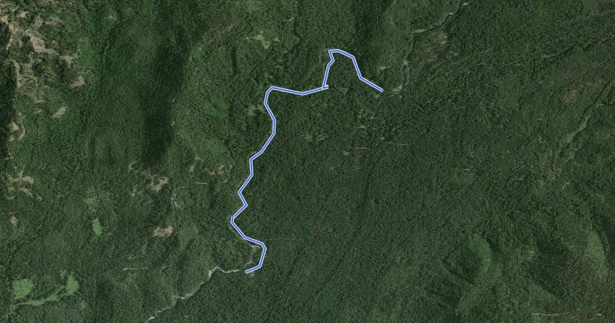 Маршрут Rogue Gorge Trail на спутниковом снимке