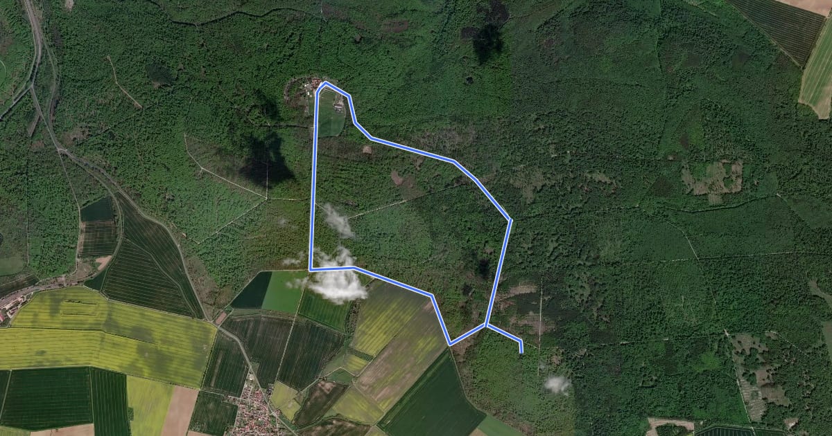 Маршрут Rohrteich-Rundweg на спутниковом снимке
