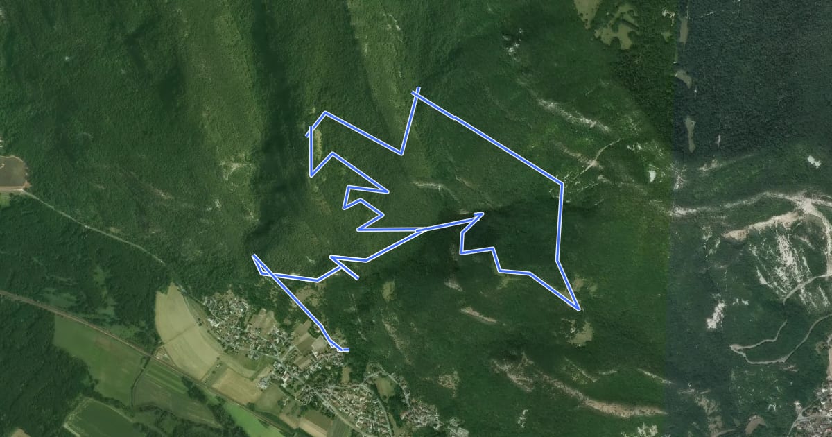 Маршрут Romagneux depuis Béon на спутниковом снимке