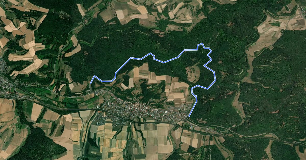 Маршрут Ronshausen R1 на спутниковом снимке