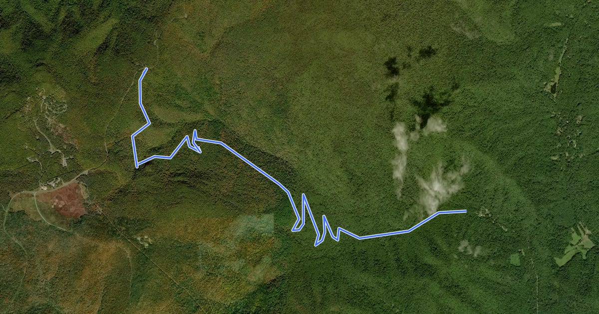 Маршрут Rose River Fire Road на спутниковом снимке