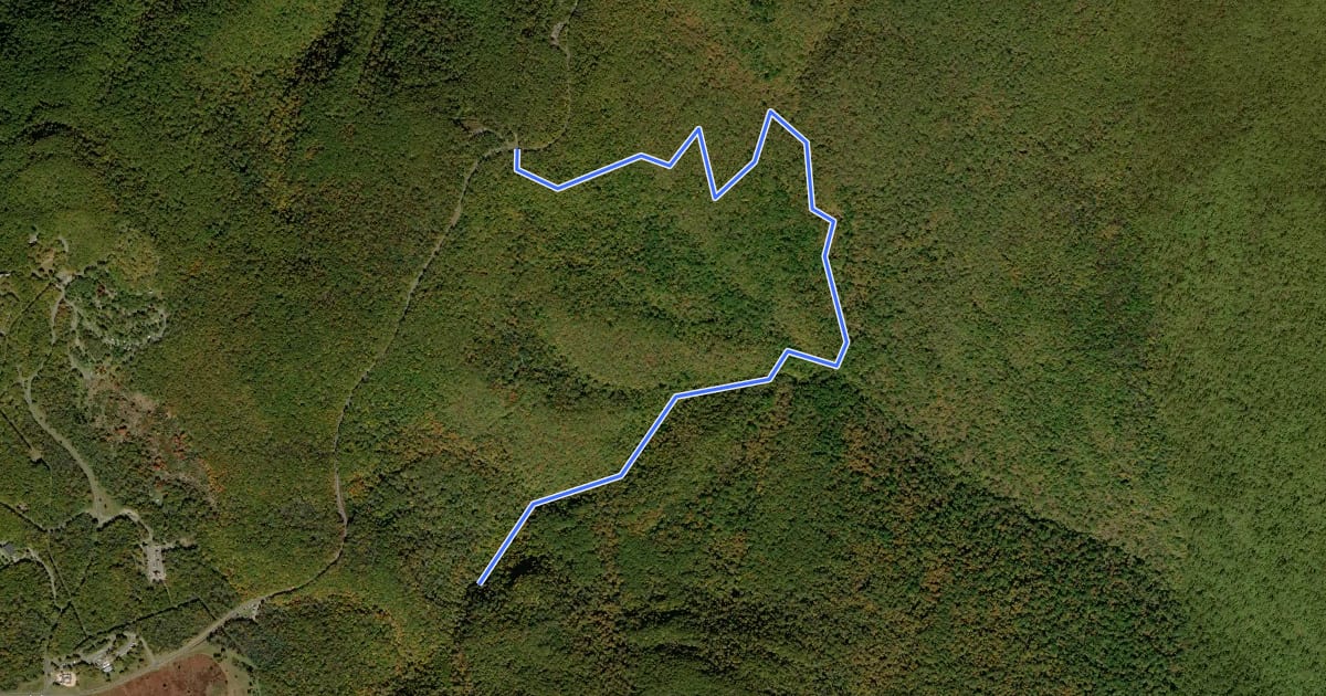 Маршрут Rose River Loop Trail на спутниковом снимке