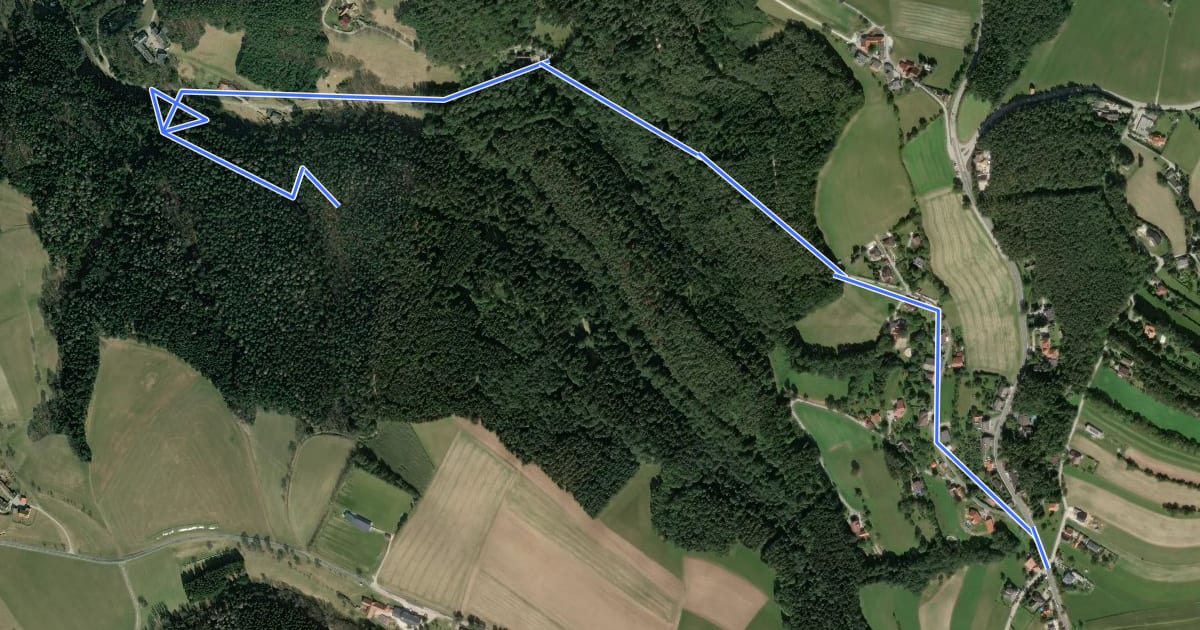 Маршрут Rosenbrunn - "Mitterweg" - Innere Alm (A1 Alternative) на спутниковом снимке