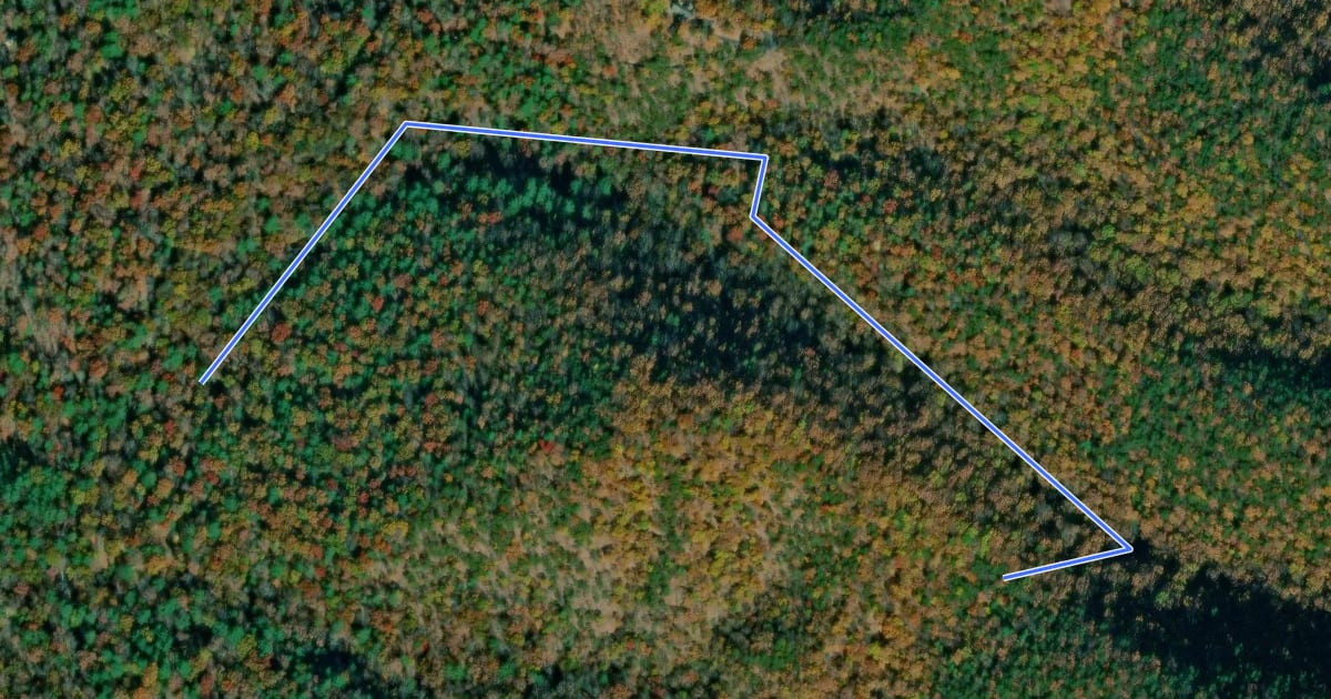 Маршрут Ross Camp Trail на спутниковом снимке