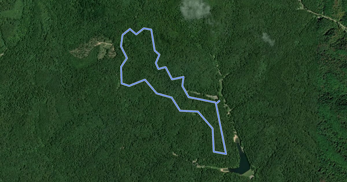 Маршрут Ross Hollow на спутниковом снимке