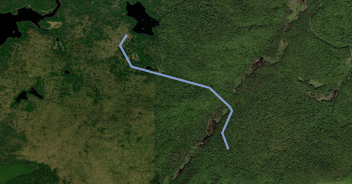 Маршрут Ross Pond Trail на спутниковом снимке