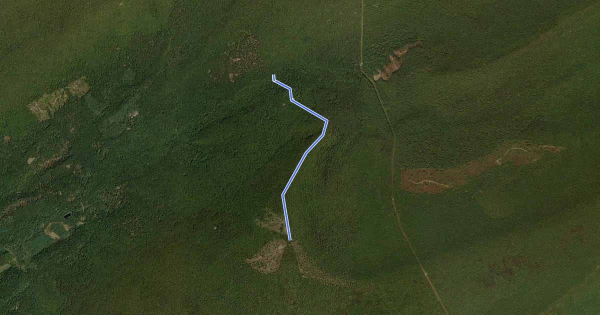 Маршрут Ross Trail на спутниковом снимке