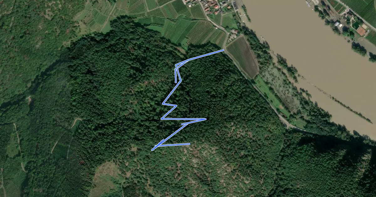 Маршрут Rossatzbach-Toter Berg (rot) на спутниковом снимке